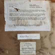 carolyn blish bedded down