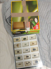 National Geographic Insect Collection