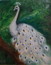 Oil Painting of a Peacock by B. Bansal